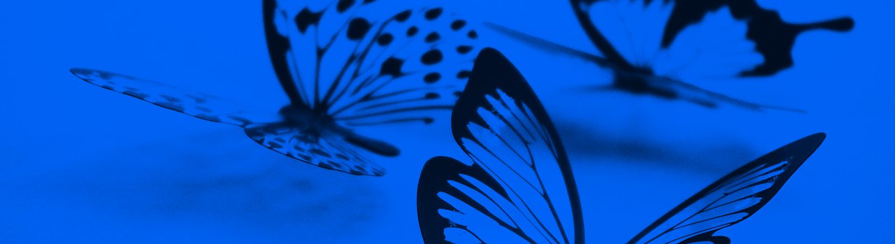 butterflies