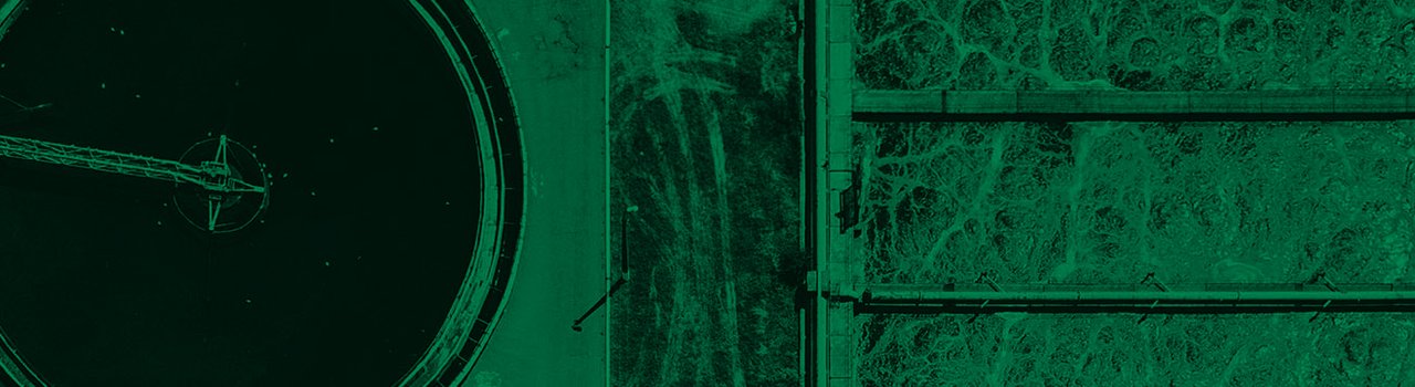 Climate Action Essentials_1920x360_Green wash.jpg