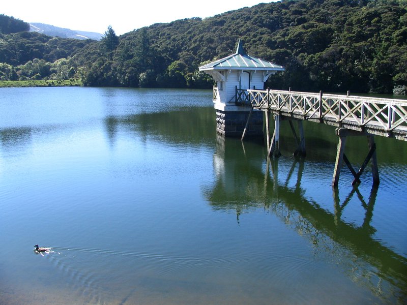 Ross Creek reservoir